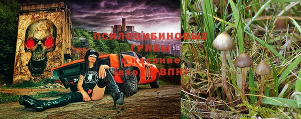 MESCALINE Балахна