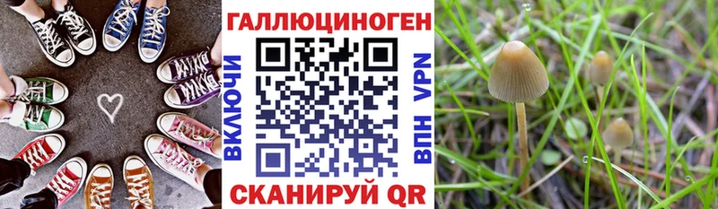 Купить  Полярные Зори  Галлюциногенные грибы Psilocybine cubensis 